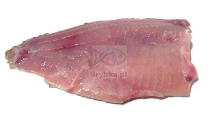 Karp filet świeży / 500 g