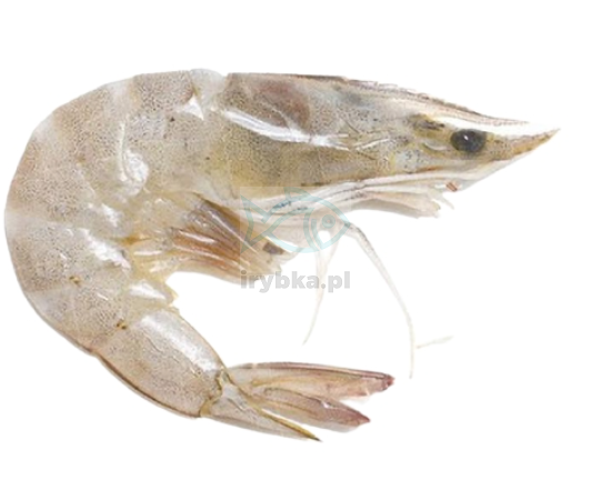 Krewetki Vannamei całe w pancerzu -/50-60 szt./kg - 25% glazury