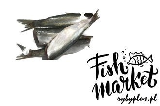 Tuszka śledziowa patroszona świeża / 400 g