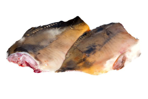 Karp filet świeży / 500 g