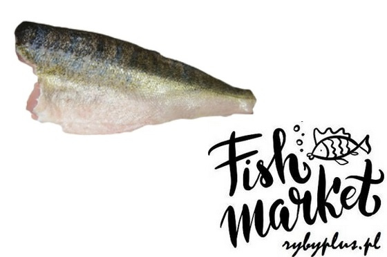Sandacz filet świeży