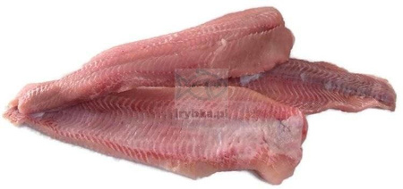 Sum Europejski płat ze skórą - świeży