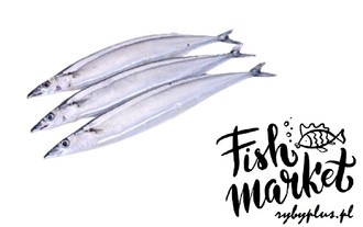 Belona cała - świeża Bałtycka