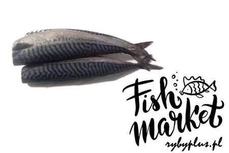 Makrela cała patroszona bez głowy świeża / 1000 g