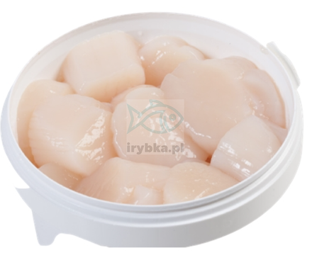 Przegrzebki mrożone / 1000 g