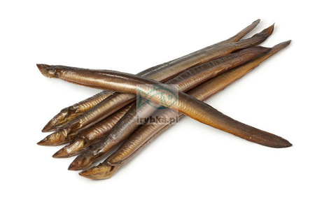 Węgorz wędzony / 900 - 1200 g
