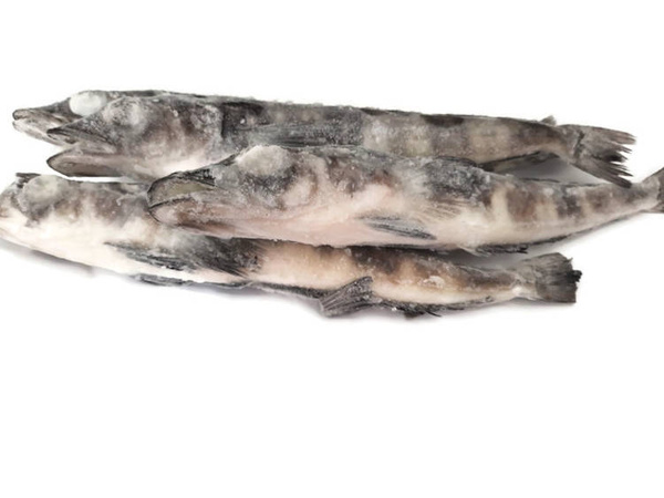 Kargulena cała z głową - tusza - mrożona