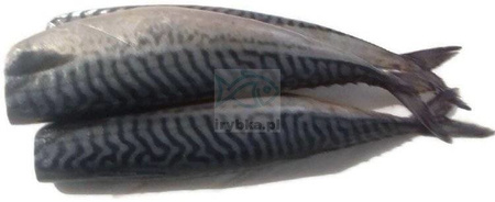 Makrela cała patroszona bez głowy świeża / 1000 g