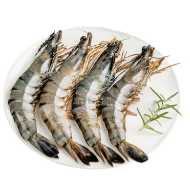 Krewetki Black Tiger całe w pancerzu - /16-20 szt./kg - 25% glazury