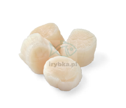 Przegrzebki mrożone / 1000 g