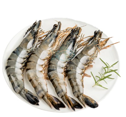 Krewetki Black Tiger całe w pancerzu - /16-20 szt./kg - 25% glazury