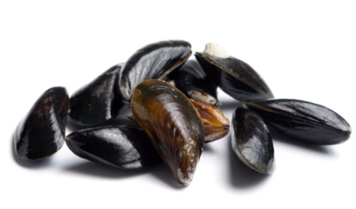 Omułki - małże mrożone w skorupie 40-60 szt./kg