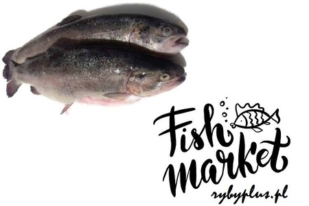 Pstrąg świeży patroszony z głową / 500 g
