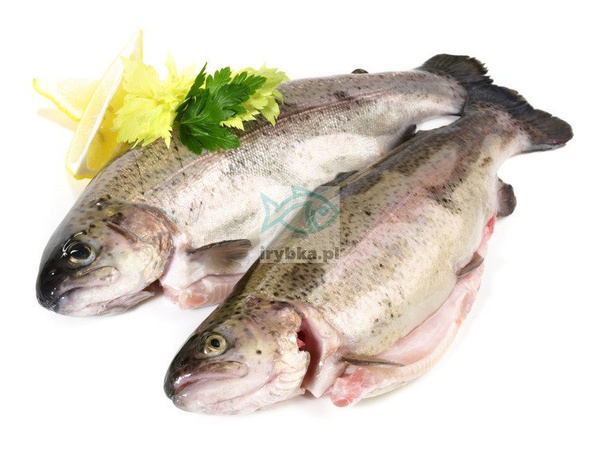 Pstrąg świeży patroszony z głową / 500 g