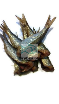 Śledź tuszka wędzona / 300 g